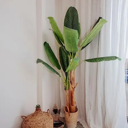 The Sea - Mirando Al Mar & Aplus Apartment *