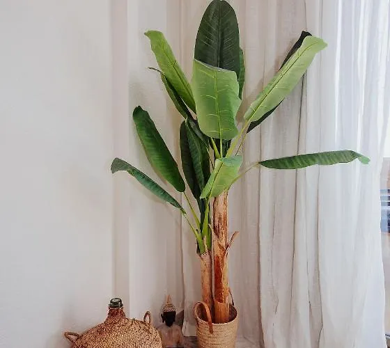 The Sea - Mirando Al Mar & Aplus דירה *